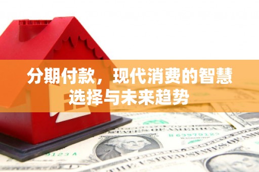 庐阳分期付款，现代消费的智慧选择与未来趋势