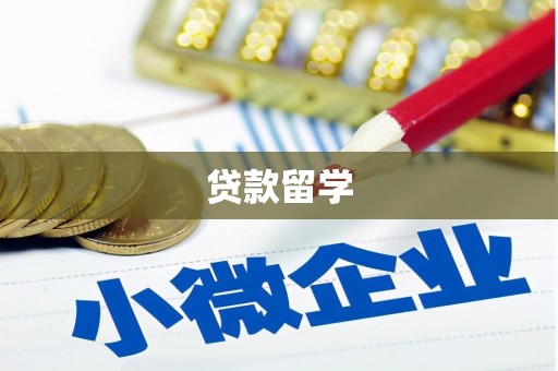 庐阳贷款留学