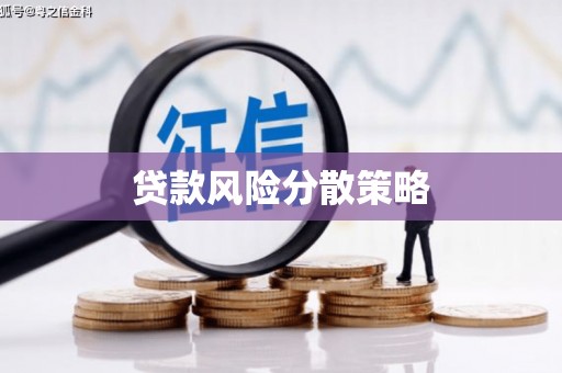 庐阳贷款风险分散策略