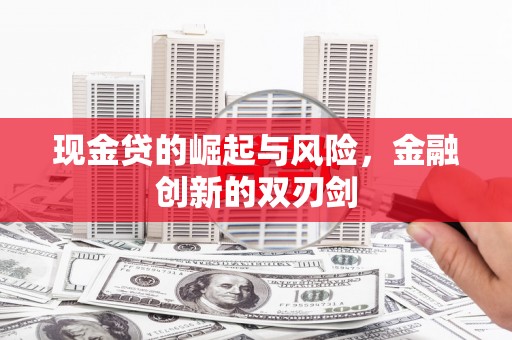 庐阳现金贷的崛起与风险，金融创新的双刃剑