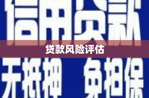 庐阳贷款风险评估