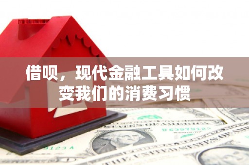 庐阳借呗，现代金融工具如何改变我们的消费习惯