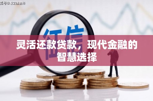 庐阳灵活还款贷款，现代金融的智慧选择