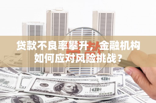 庐阳贷款不良率攀升，金融机构如何应对风险挑战？