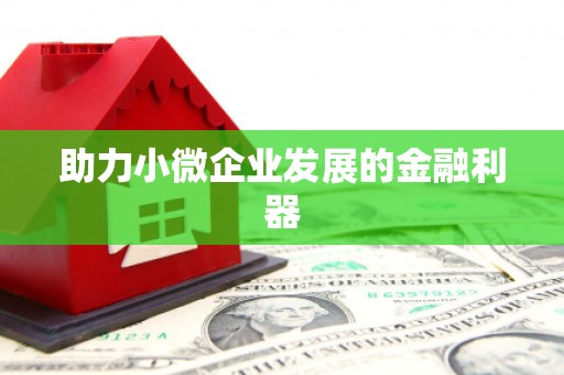庐阳助力小微企业发展的金融利器