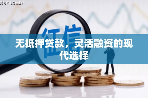 庐阳无抵押贷款，灵活融资的现代选择