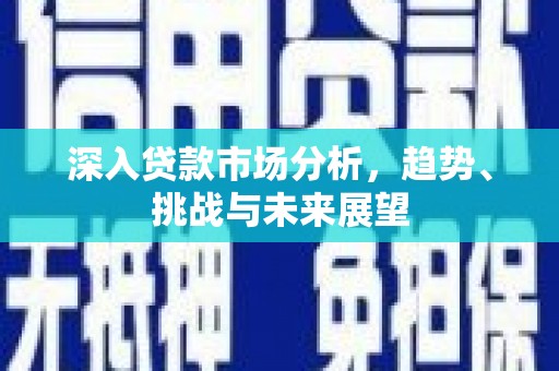 庐阳深入贷款市场分析，趋势、挑战与未来展望