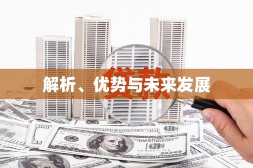 庐阳解析、优势与未来发展