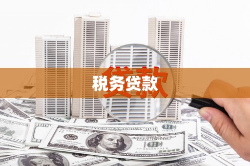 庐阳税务贷款
