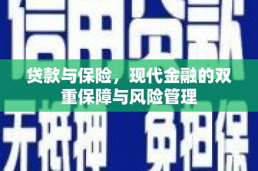 庐阳贷款与保险，现代金融的双重保障与风险管理