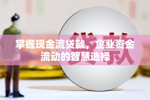 庐阳掌握现金流贷款，企业资金流动的智慧选择