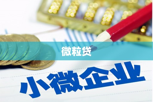 庐阳微粒贷