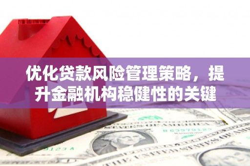 庐阳优化贷款风险管理策略，提升金融机构稳健性的关键