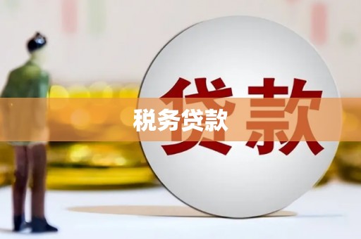 庐阳税务贷款