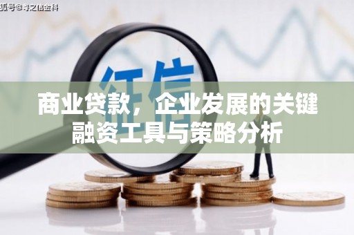 庐阳商业贷款，企业发展的关键融资工具与策略分析