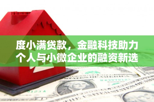庐阳度小满贷款，金融科技助力个人与小微企业的融资新选择