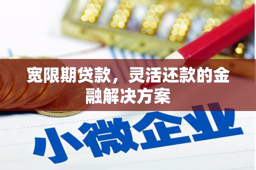 庐阳宽限期贷款，灵活还款的金融解决方案