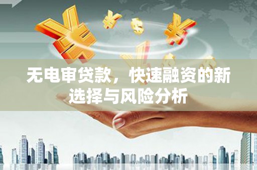 庐阳无电审贷款，快速融资的新选择与风险分析