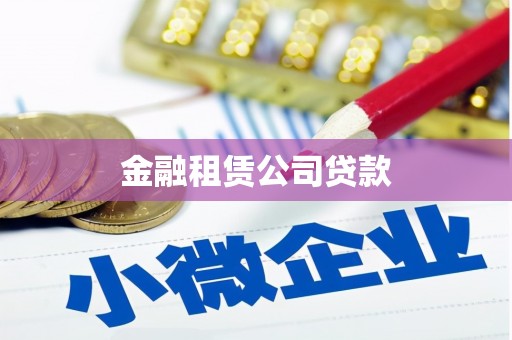 庐阳金融租赁公司贷款