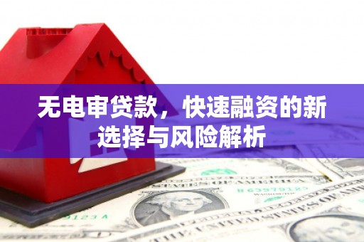 庐阳无电审贷款，快速融资的新选择与风险解析