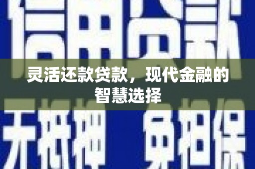 庐阳灵活还款贷款，现代金融的智慧选择