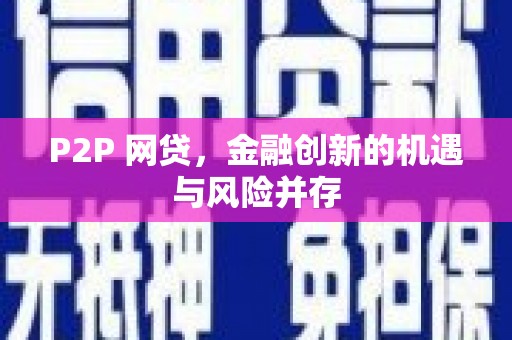 庐阳P2P 网贷，金融创新的机遇与风险并存