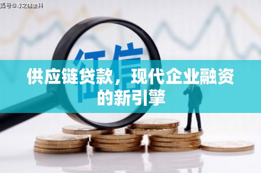 庐阳供应链贷款，现代企业融资的新引擎