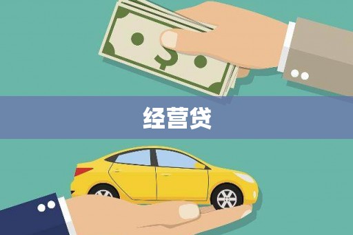 庐阳经营贷