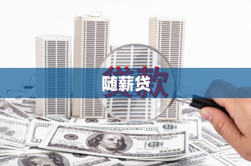 庐阳随薪贷