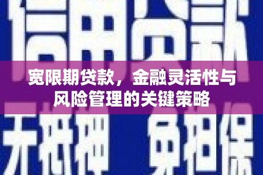 庐阳宽限期贷款，金融灵活性与风险管理的关键策略