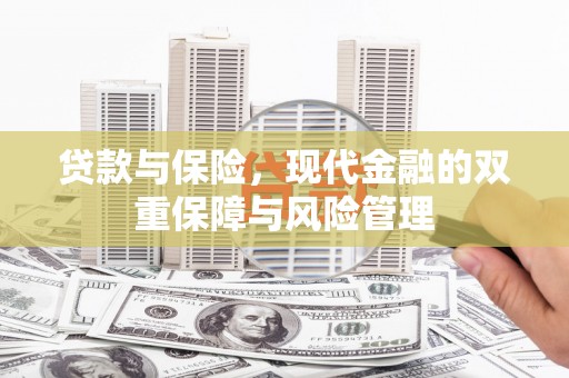 庐阳贷款与保险，现代金融的双重保障与风险管理