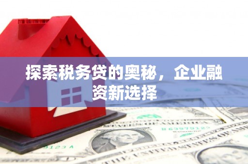 庐阳探索税务贷的奥秘，企业融资新选择