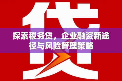 庐阳探索税务贷，企业融资新途径与风险管理策略