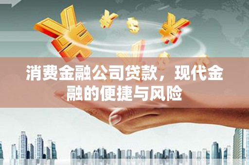庐阳消费金融公司贷款，现代金融的便捷与风险