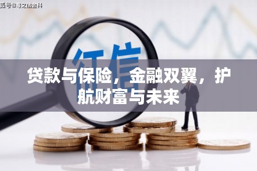 庐阳贷款与保险，金融双翼，护航财富与未来