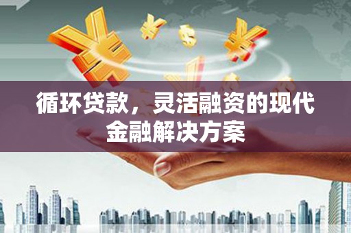 庐阳循环贷款，灵活融资的现代金融解决方案