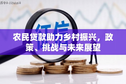 庐阳农民贷款助力乡村振兴，政策、挑战与未来展望