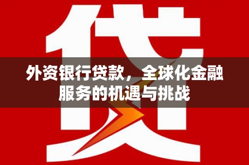 庐阳外资银行贷款，全球化金融服务的机遇与挑战