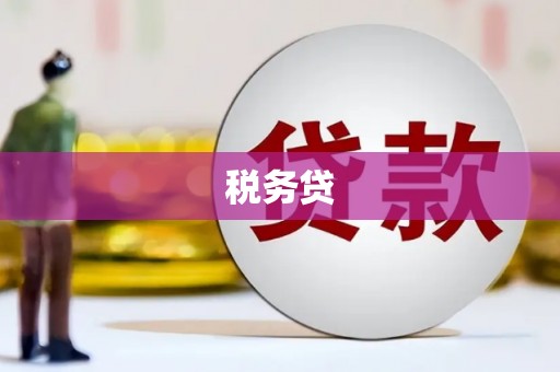 庐阳税务贷