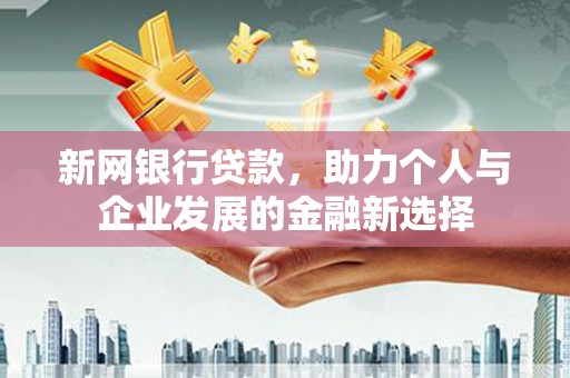 庐阳新网银行贷款，助力个人与企业发展的金融新选择