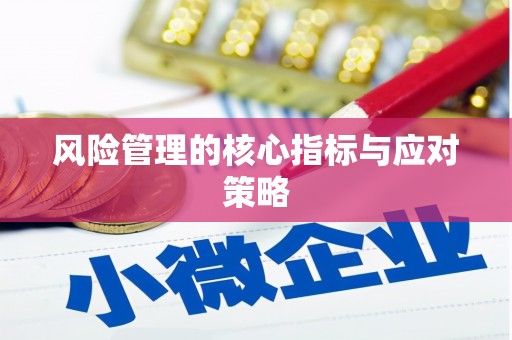 庐阳风险管理的核心指标与应对策略