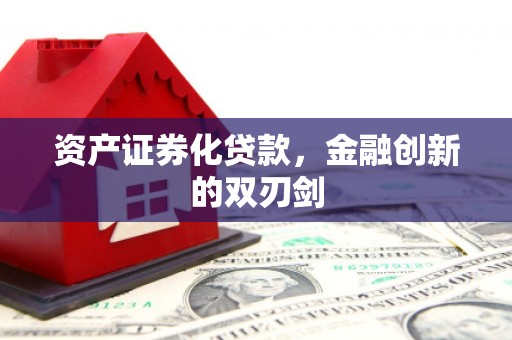庐阳资产证券化贷款，金融创新的双刃剑