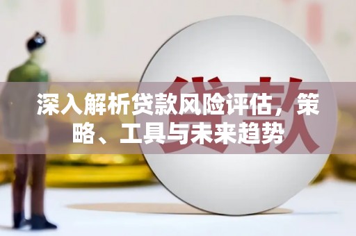 庐阳深入解析贷款风险评估，策略、工具与未来趋势
