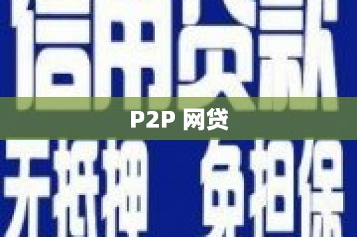 庐阳P2P 网贷