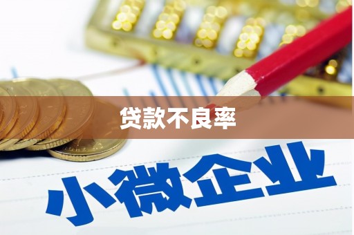 庐阳贷款不良率