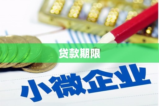 庐阳贷款期限