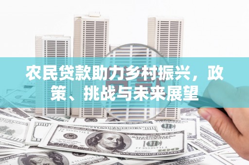 庐阳农民贷款助力乡村振兴，政策、挑战与未来展望