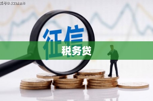 庐阳税务贷