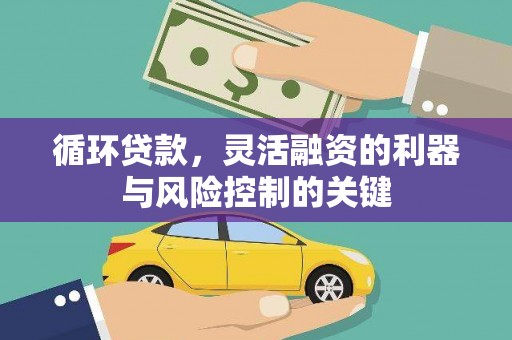 庐阳循环贷款，灵活融资的利器与风险控制的关键