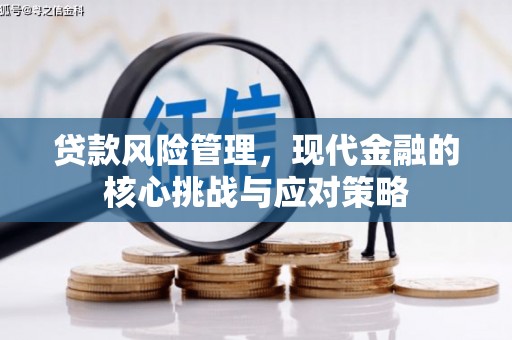 庐阳贷款风险管理，现代金融的核心挑战与应对策略